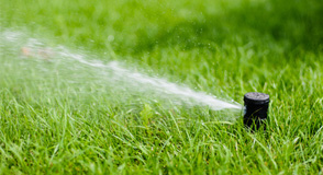 landscaping and lawn care in ada mi